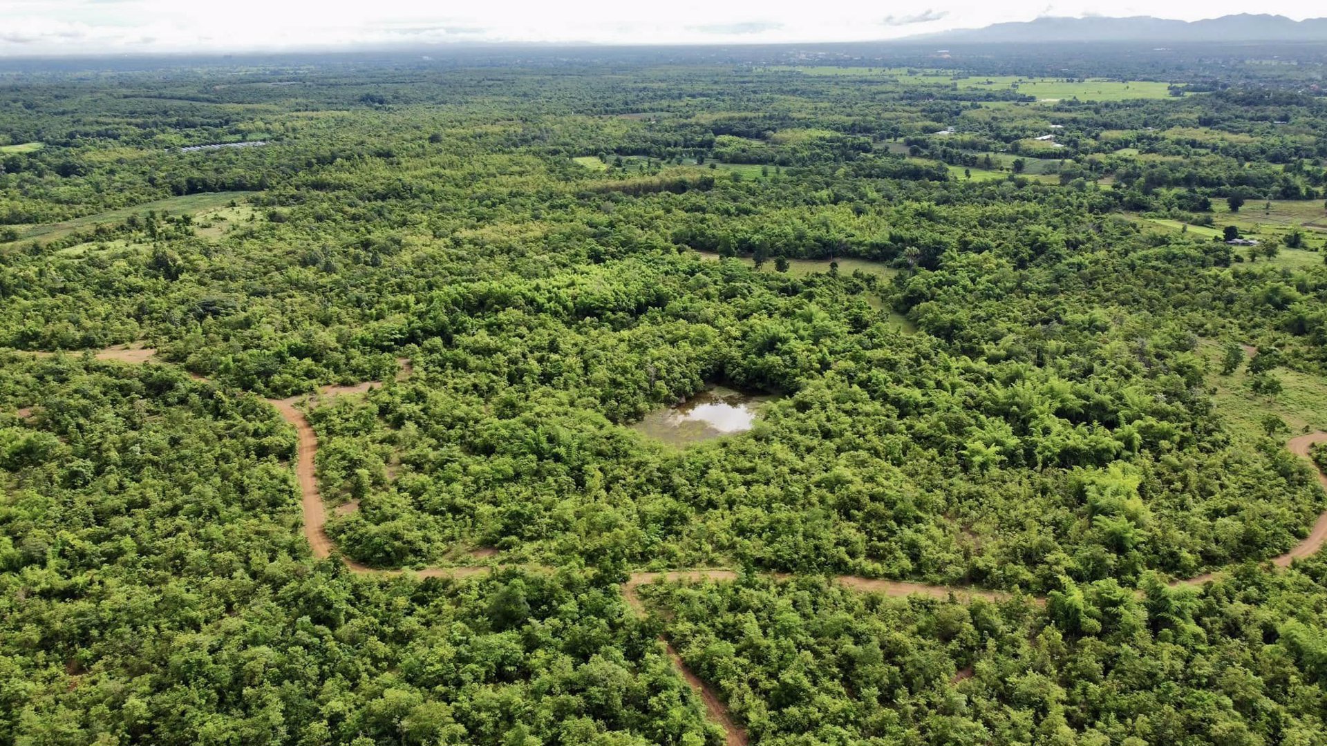 ขายด่วน-ที่ดินเกาะคา-จลำปาง