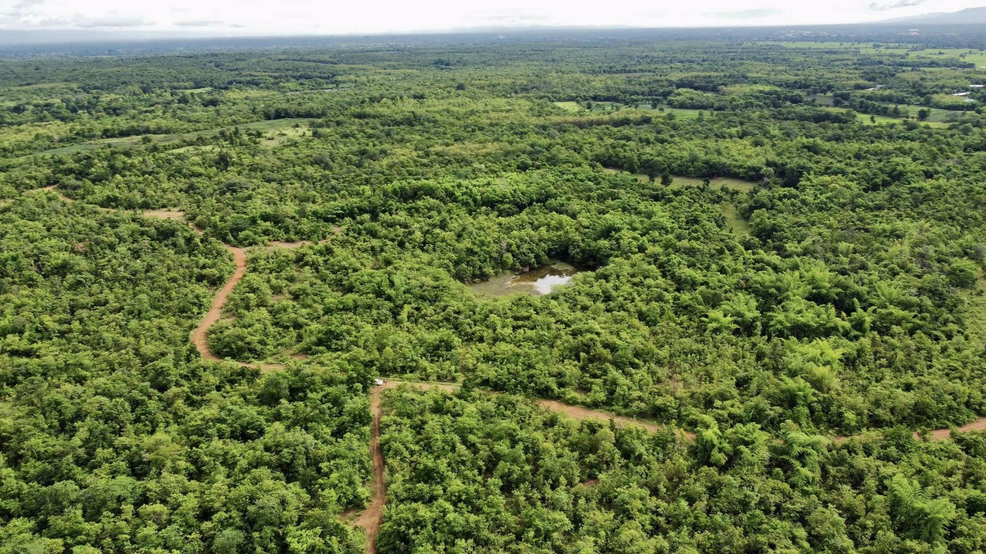 ขายด่วน-ที่ดินเกาะคา-จลำปาง