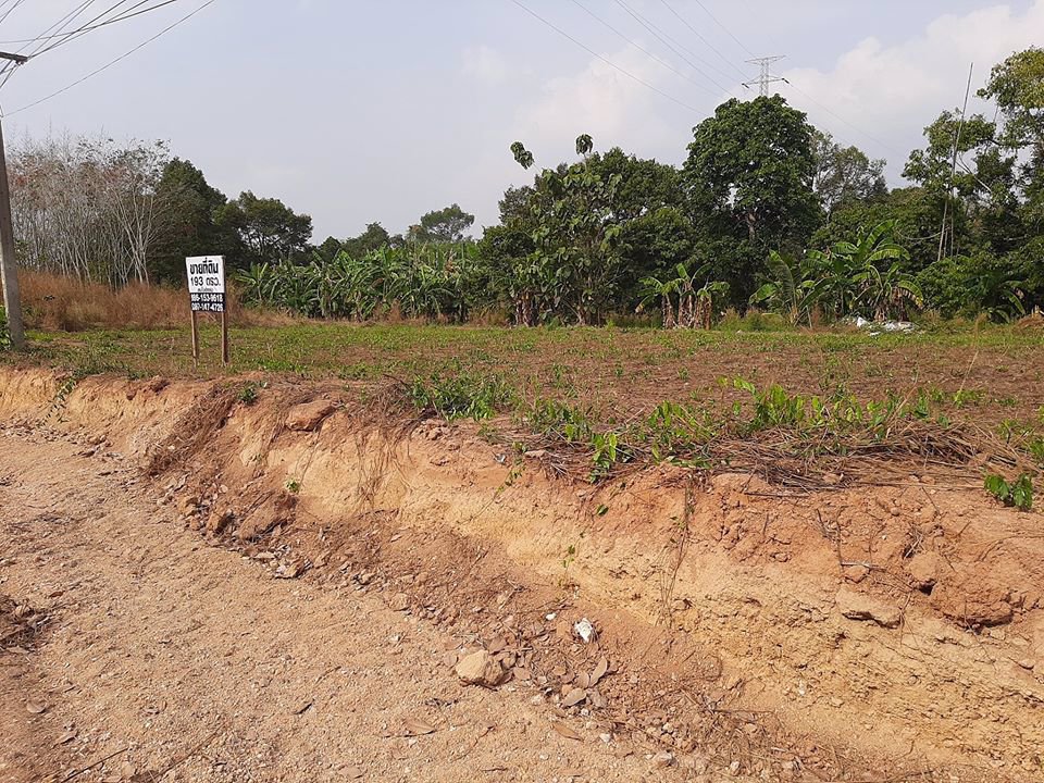 ที่ดินแบ่งขาย-ทำเลค้าขายติดถนน-ด่วน-ราคาถูกๆ-
