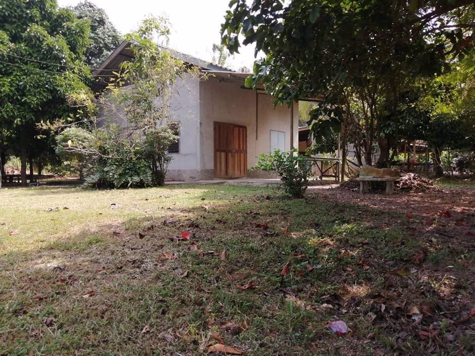 ขายที่ดินสวนมังคุดสวยๆ-ราคาไม่แพง-เหมาะแก่การลงทุน