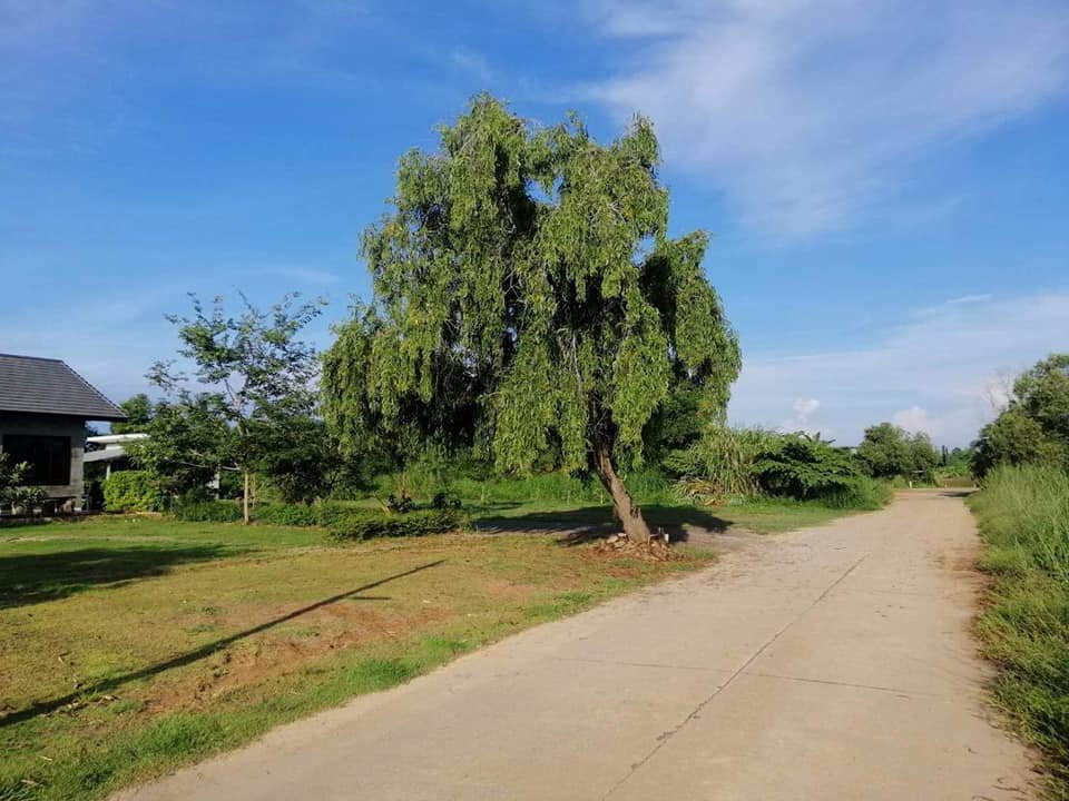 ขายบ้านสวยราคาถูกๆ-ขนาด-1-ไร่-สงบ-เป็นส่วนตัว-ติดธรรมชาติ-วิวสวยราคาคุ้ม