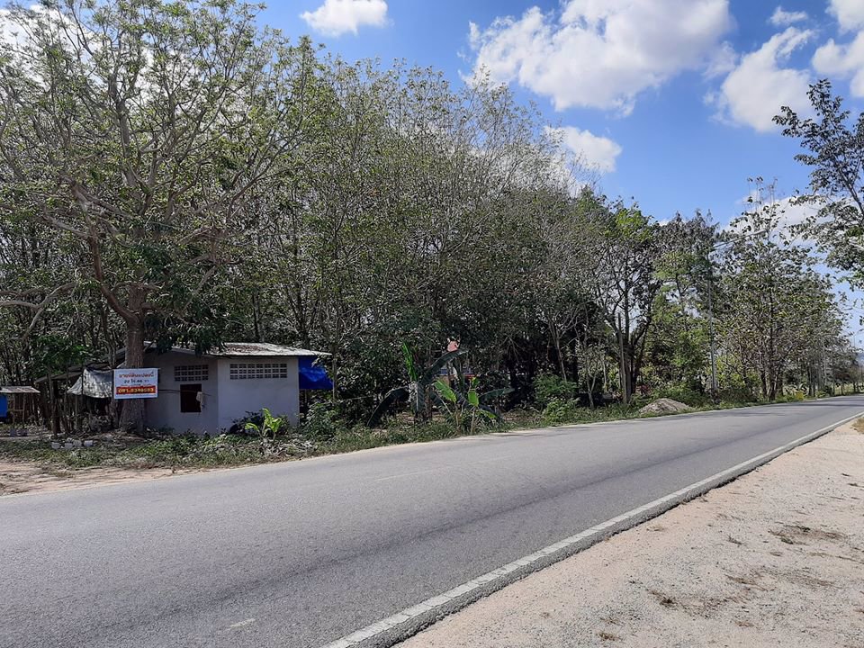 ขายที่ดินสวยทำเลเยี่ยม-สร้างโรงงาน-โกดัง-ได้-ติดถนน-นิคมสาย11