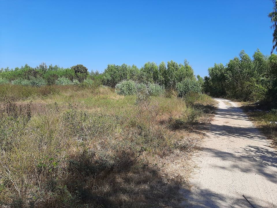 ขายที่ดินระยองราคาถูกสุดๆ-ตเนินพระ-ใกล้แหล่งความเจริญ