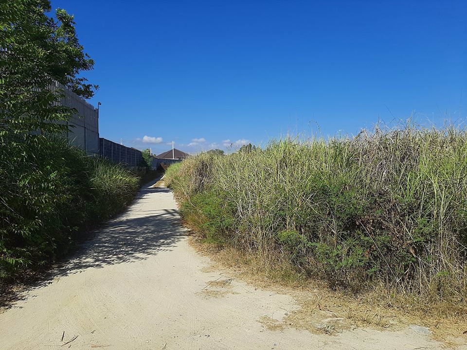 ขายที่ดินระยองราคาถูกสุดๆ-ตเนินพระ-ใกล้แหล่งความเจริญ