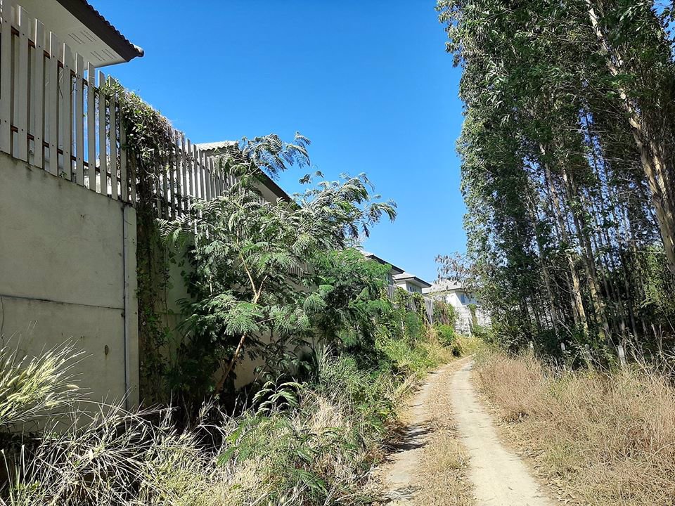 ขายที่ดินระยองทำเลทอง-ติดถนน-กรอกยายชา-17-ไร่-ถูกๆ