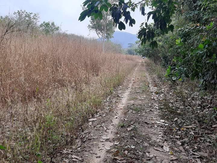 ขายที่ดินระยอง-9-ไร่กว่า-ราคาถูก-ท่ารใดพร้อมต้องรีบ-ขายด่วนลดพิเศษสุด