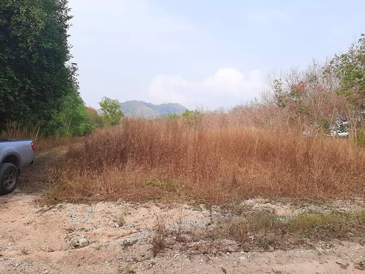 ขายที่ดินระยอง-9-ไร่กว่า-ราคาถูก-ท่ารใดพร้อมต้องรีบ-ขายด่วนลดพิเศษสุด