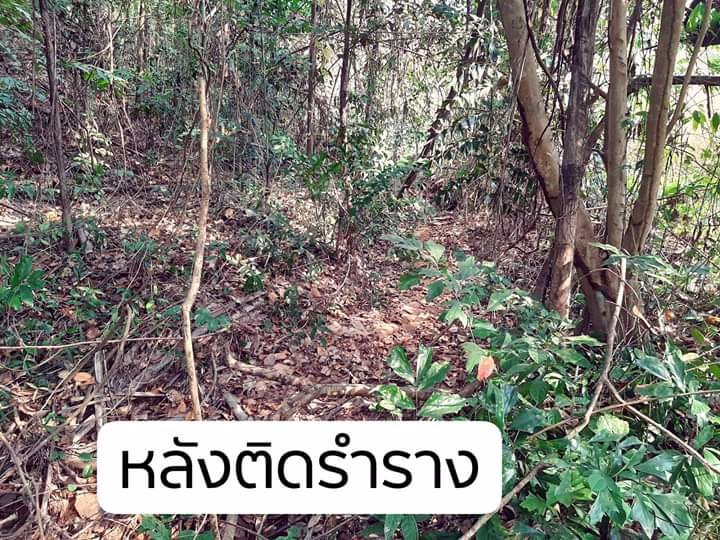 ขายที่ดินระยอง-9-ไร่กว่า-ราคาถูก-ท่ารใดพร้อมต้องรีบ-ขายด่วนลดพิเศษสุด