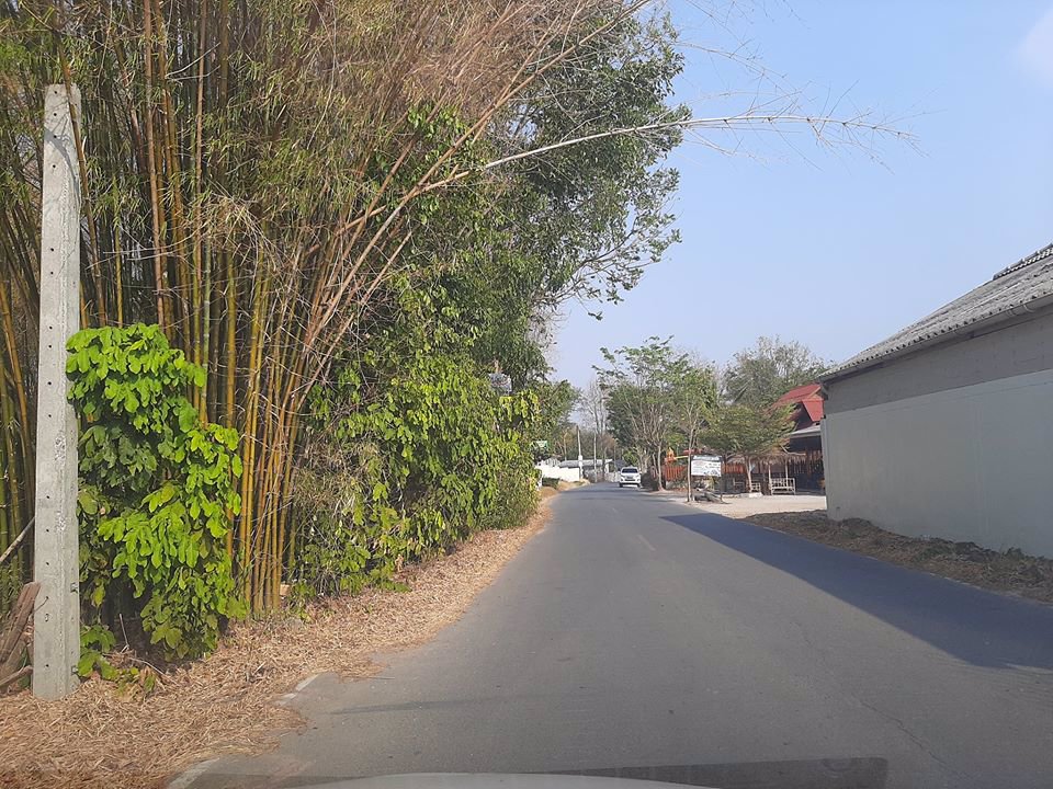 ที่ดินหลังโกลบอลเฮ้าระยอง15-ไร่ต้องการขาย-อยู่ทำเลที่ดี