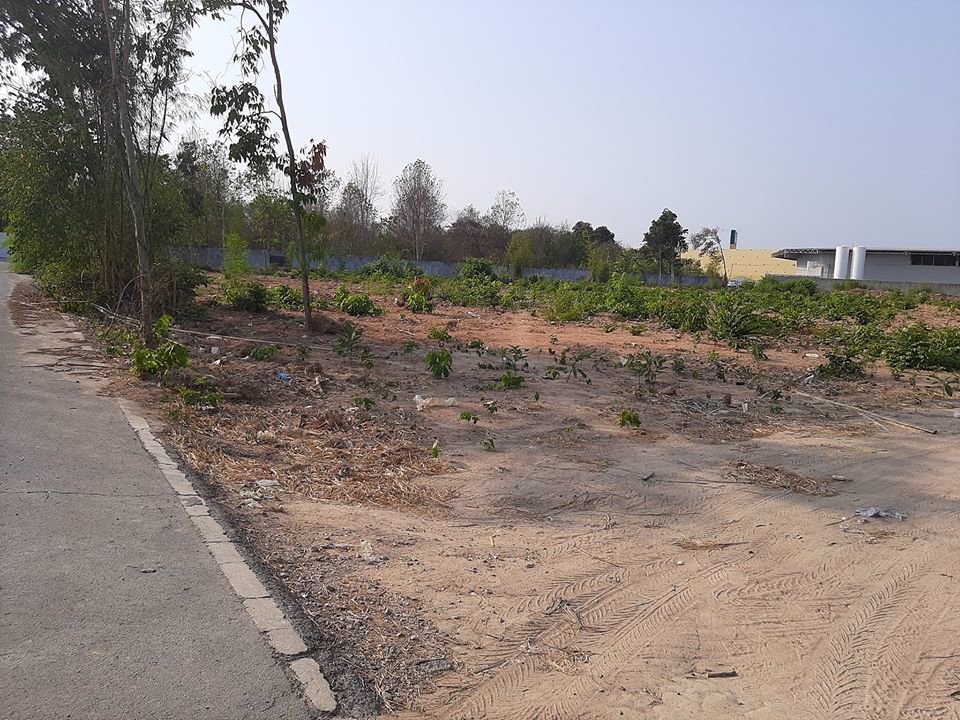 ที่ดินหลังโกลบอลเฮ้าระยอง15-ไร่ต้องการขาย-อยู่ทำเลที่ดี