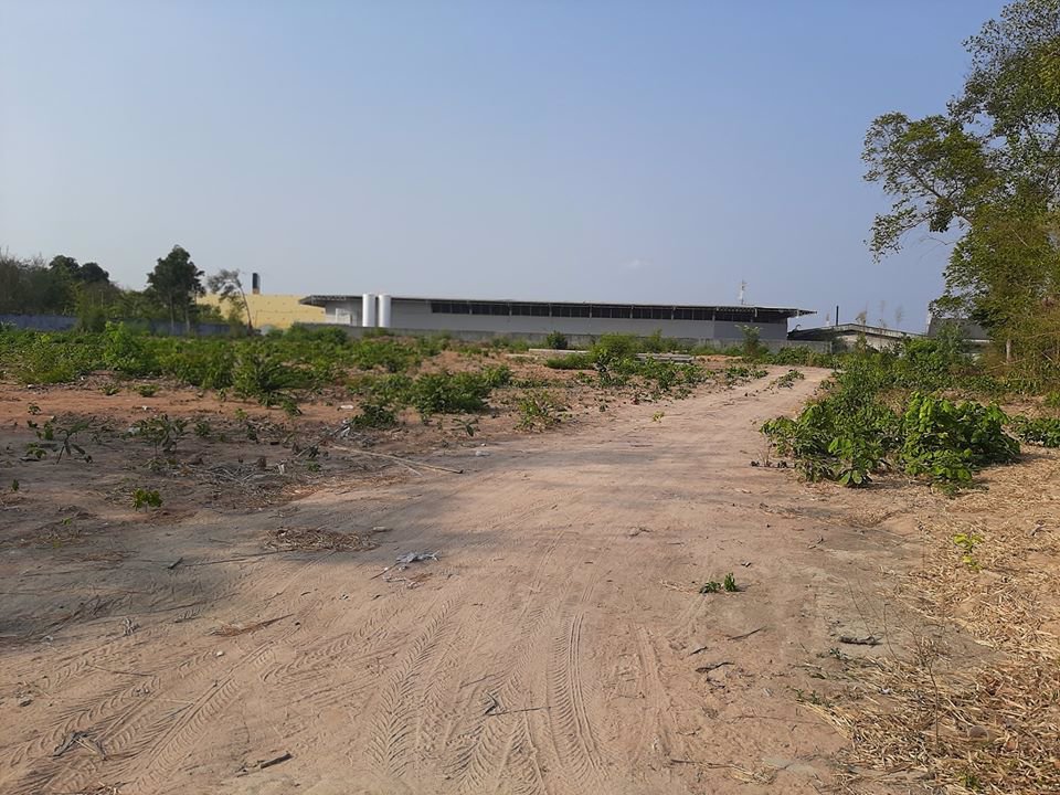 ที่ดินหลังโกลบอลเฮ้าระยอง15-ไร่ต้องการขาย-อยู่ทำเลที่ดี