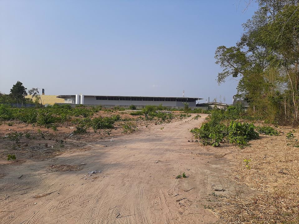 ที่ดินหลังโกลบอลเฮ้าระยอง15-ไร่ต้องการขาย-อยู่ทำเลที่ดี