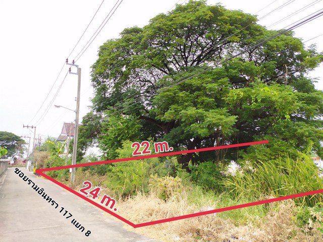 ขายที่ดิน-135-ตรว-ซรามอินทรา-117-ใกล้สวนสยาม-เหมาะซื้อปลูกบ้าน