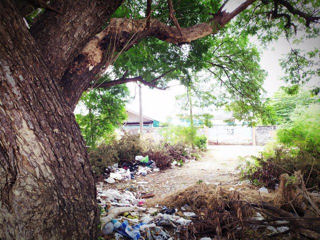 ขายที่ดิน-135-ตรว-ซรามอินทรา-117-ใกล้สวนสยาม-เหมาะซื้อปลูกบ้าน