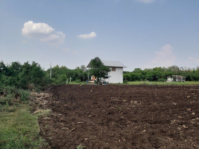 ขายที่ดิน-ถมไแล้ว-12-2-9-ไร่-บ้านมอดินแดง-ตคลองกระจัง-อศรีเทพ-เพชรบูรณ์-เจ้าของขายเอง