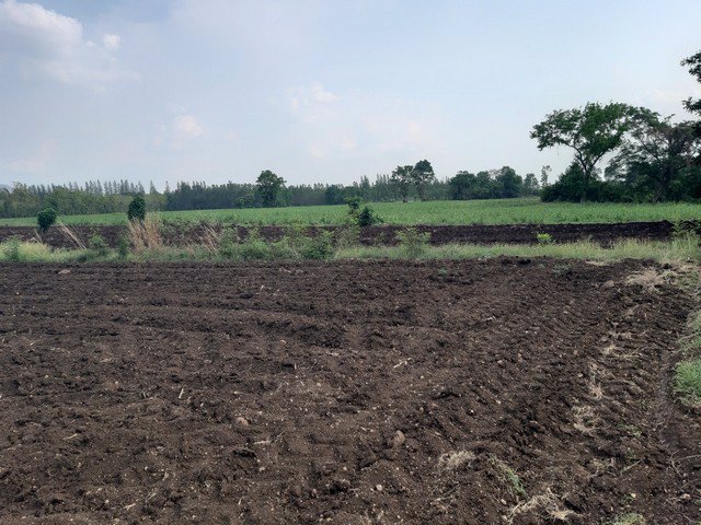 ขายที่ดิน-ถมไแล้ว-12-2-9-ไร่-บ้านมอดินแดง-ตคลองกระจัง-อศรีเทพ-เพชรบูรณ์-เจ้าของขายเอง