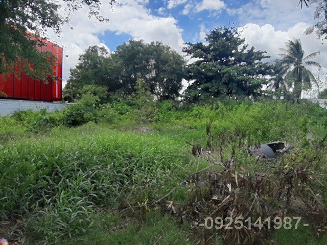 ขายที่ดิน-100-ตรว-หมู่บ้านปิ่นทองแลนด์-แฟคตอรี่-ลำโพ-อบางบัวทอง-จนนทบุรี-ใกล้ดูโฮม