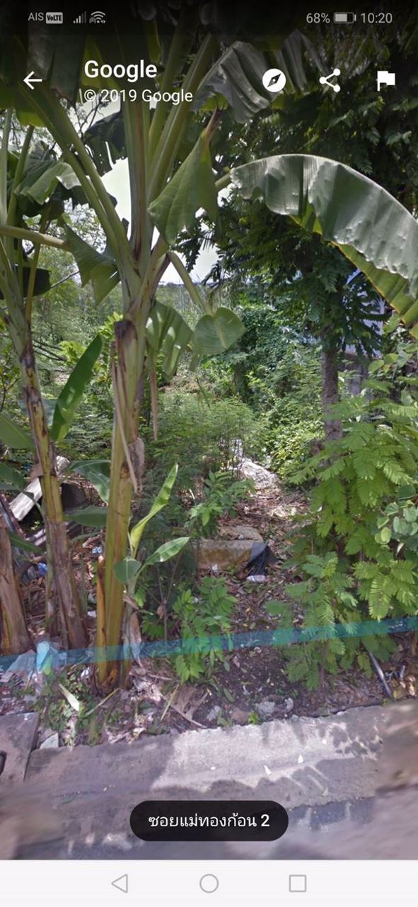 ขายด่วน-ที่ดินดอนเมือง-100-ตรว-ไม่ไกลจาก-สนามบิน-ถนนสรงประภา