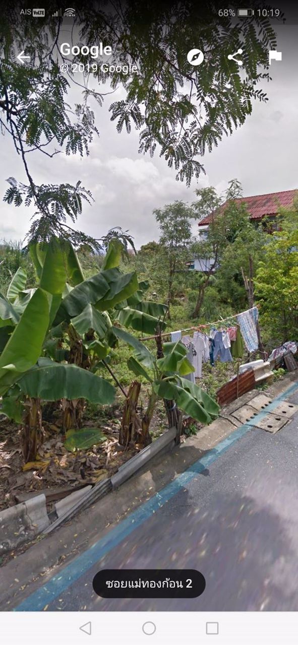 ขายด่วน-ที่ดินดอนเมือง-100-ตรว-ไม่ไกลจาก-สนามบิน-ถนนสรงประภา