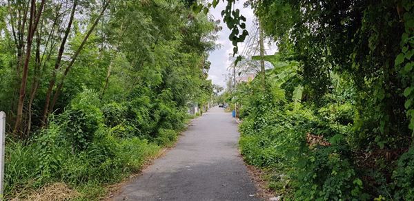 ขายที่ดิน-120-ตรว-ดอนเมือง-ซอยโกสุมรวมใจ-36-แยก-13-ราคา-45-ล้าน-ต่อรองได้ค่ะ-