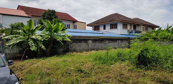 ขายที่ดิน-120-ตรว-ดอนเมือง-ซอยโกสุมรวมใจ-36-แยก-13-ราคา-45-ล้าน-ต่อรองได้ค่ะ-