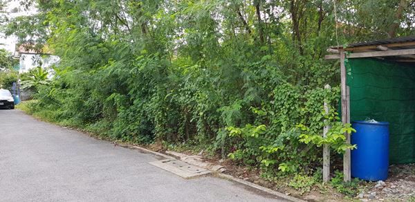 ขายที่ดิน-120-ตรว-ดอนเมือง-ซอยโกสุมรวมใจ-36-แยก-13-ราคา-45-ล้าน-ต่อรองได้ค่ะ-