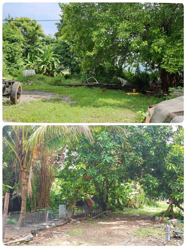 ที่ดิน-จสระบุรี-4-ไร่-หรือแบ่งขาย-2-ไร่-ติดถนน-4-เลน-ถพระพุทธบาท-ท่าเรือ