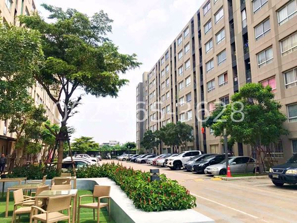 ขาย-พลัม-คอนโด-สามัคคี-plum-condo-samakkhi-ใกล้-mrt-สายสีชมพู-สถานีสามัคคี