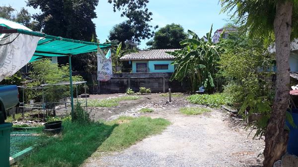 ขายที่ดินเปล่า-ถมแล้ว-64-ตรว-ซประชาอุทิศ1-ถสรงประภา-แขวงสีกัน-เขตดอนเมือง-กรุงเทพ