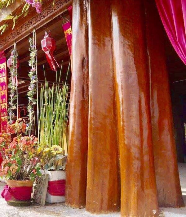 ขายคฤหาสน์บ้านไม้สักทองหลังใหญ่-สวย-หายาก-ใหญ่ที่สุดในจังหวัดเชียงใหม่-พร้อมที่ดินโฉนด-10-ไร่