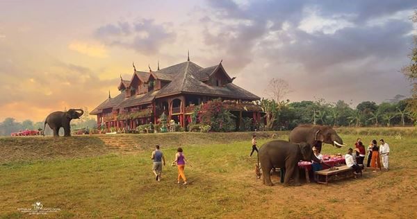 ขายคฤหาสน์บ้านไม้สักทองหลังใหญ่-สวย-หายาก-ใหญ่ที่สุดในจังหวัดเชียงใหม่-พร้อมที่ดินโฉนด-10-ไร่