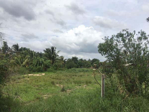 ขายขาดทุน-ที่ดินหัวหิน-ซวัดนิโครธาราม-ประจวบ-สวยมาก-2ไร่-ถนนดี-ถมแล้ว-น้ำไฟพร้อม