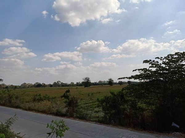 ขายที่ดิน-เสาไห้-จังหวัดสระบุรี-33-ไร่-148-ตรว-ทำเลดีสุดๆ-ขายถูก-