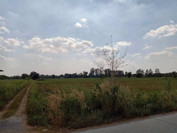 ขายที่ดิน-เสาไห้-จังหวัดสระบุรี-33-ไร่-148-ตรว-ทำเลดีสุดๆ-ขายถูก-