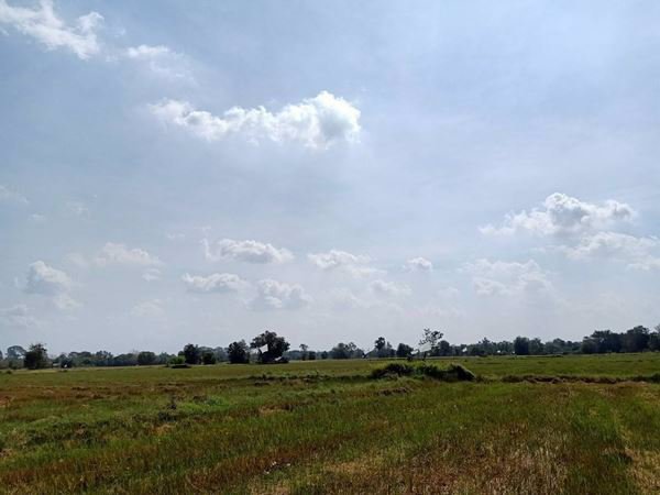 ขายที่ดิน-เสาไห้-จังหวัดสระบุรี-33-ไร่-148-ตรว-ทำเลดีสุดๆ-ขายถูก-