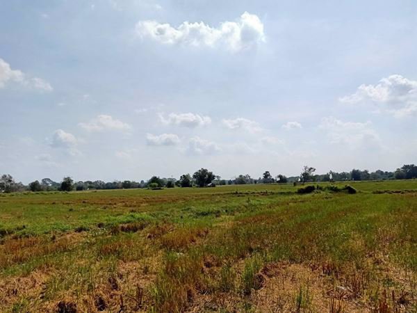 ขายที่ดิน-เสาไห้-จังหวัดสระบุรี-33-ไร่-148-ตรว-ทำเลดีสุดๆ-ขายถูก-