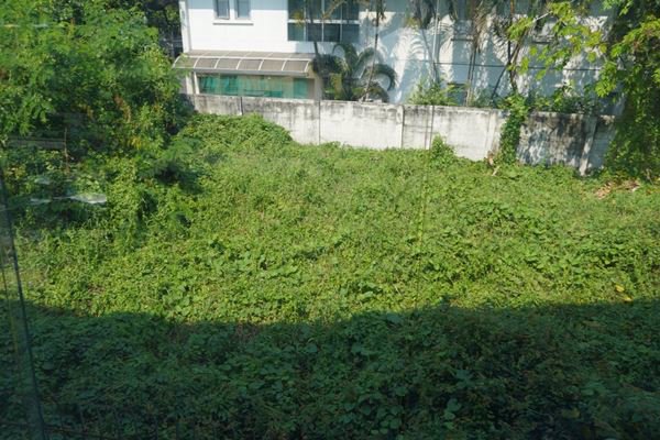 ขายที่ดิน-1227-ตรวติด-mrt-บางกระสอ-ที่ดินอยู่ในโครงการ-โนเบิล-ทารา-ถนนรัตนาธิเบศร์-งามวงศ์วาน