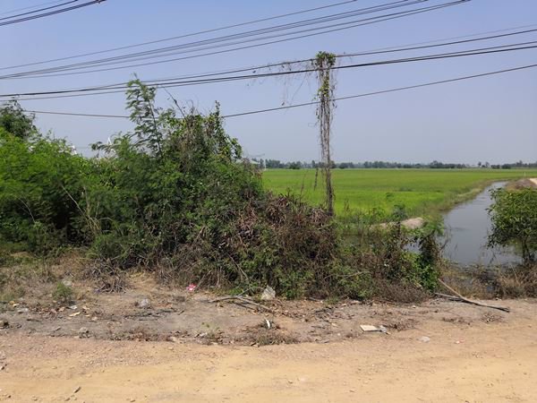 ขายที่ดินเปล่าขนาด-12-ไร่-ตโพธิ์เเตง-อบางไทร-จอยุธยา-ใกล้จุดขึ้นลงทางด่วนบางปะอิน