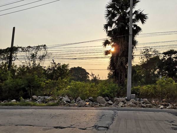 ขายที่ติดถนนเลียบคลองเปรม-2-ไร่-ไร่ละ-85-ลบ-วิ่งจากที่ดิน-20-นาที-ถึงธรรมศาสตร์รังสิต