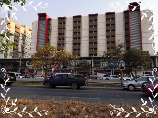 ขายที่ติดถนนเลียบคลองเปรม-15-ไร่-ถมเเล้ว-ไร่ละ-12-ลบ-วิ่งจากที่ดินถึงธรรมศาสตร์รังสิต