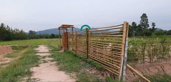 ขายที่ดินนครนายก-ลดแล้วลดอีก-ด่วน-100-ตรว-ใกล้โรงเรียนเตรียมทหาร-ถนนวังไทร