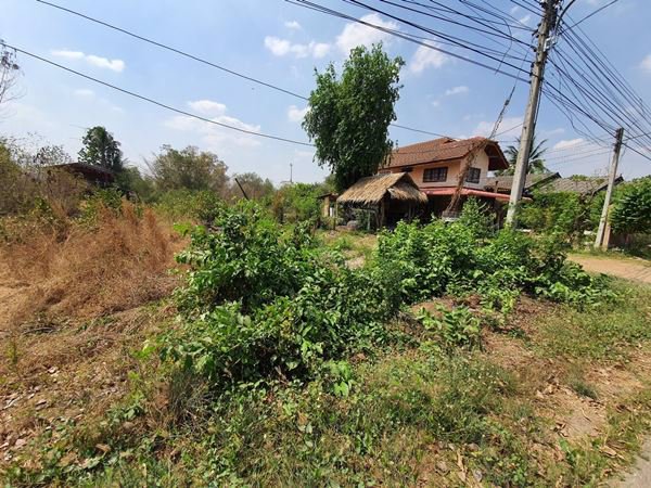 ขายที่ดิน-ตำบลลาดหญ้า-อำเภอเมือง-กาญจนบุรี-ทำเลดี-2-งาน-40-ตรว-ติดถนน