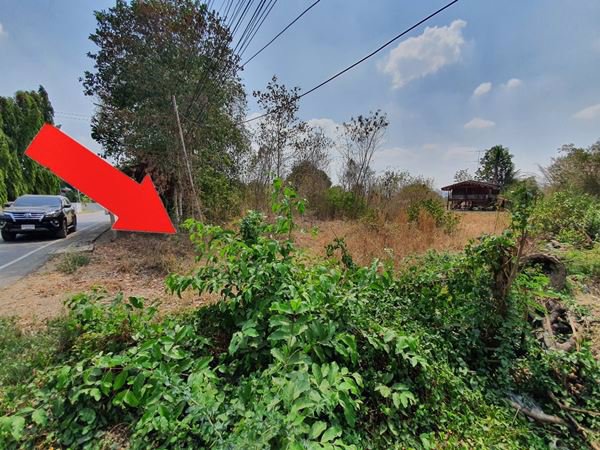 ขายที่ดิน-ตำบลลาดหญ้า-อำเภอเมือง-กาญจนบุรี-ทำเลดี-2-งาน-40-ตรว-ติดถนน