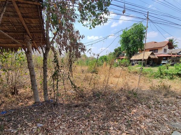 ขายที่ดิน-ตำบลลาดหญ้า-อำเภอเมือง-กาญจนบุรี-ทำเลดี-2-งาน-40-ตรว-ติดถนน