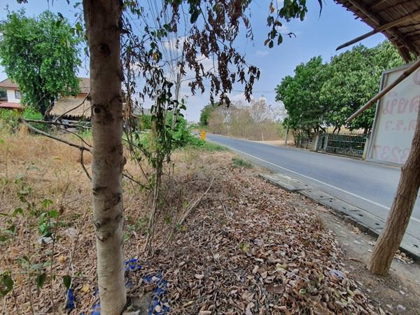 ขายที่ดิน-ตำบลลาดหญ้า-อำเภอเมือง-กาญจนบุรี-ทำเลดี-2-งาน-40-ตรว-ติดถนน