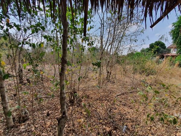 ลดราคา-ขายที่ดินกาญจนบุรี-ราคาถูก-ทำเลดี-2-งาน-40-ตรว-ติดถนน-แหล่งชุมชน-มท่าเสา