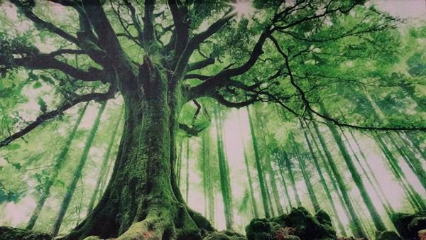 ขายคอนโด-ถูกที่สุด-ชั้น-31-วิวเมืองสวยมาก-ashton-asoke-345-ตรม-1-ห้องนอน-ตกแต่งครบ-พร้อมอยู่-8-ล้า