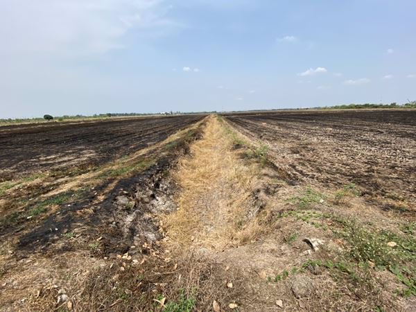 ขายที่ดินติดถนน-9-1-601-ไร่-อยู่ในแหล่งชุมชน-ตบางขวัญ-เมืองฉะเชิงเทรา