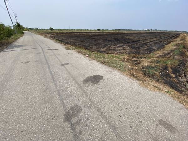 ขายที่ดินติดถนน-9-1-601-ไร่-อยู่ในแหล่งชุมชน-ตบางขวัญ-เมืองฉะเชิงเทรา