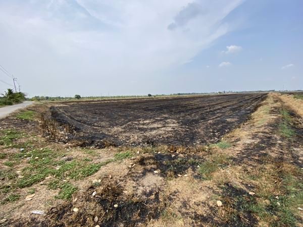 ขายที่ดินติดถนน-9-1-601-ไร่-อยู่ในแหล่งชุมชน-ตบางขวัญ-เมืองฉะเชิงเทรา